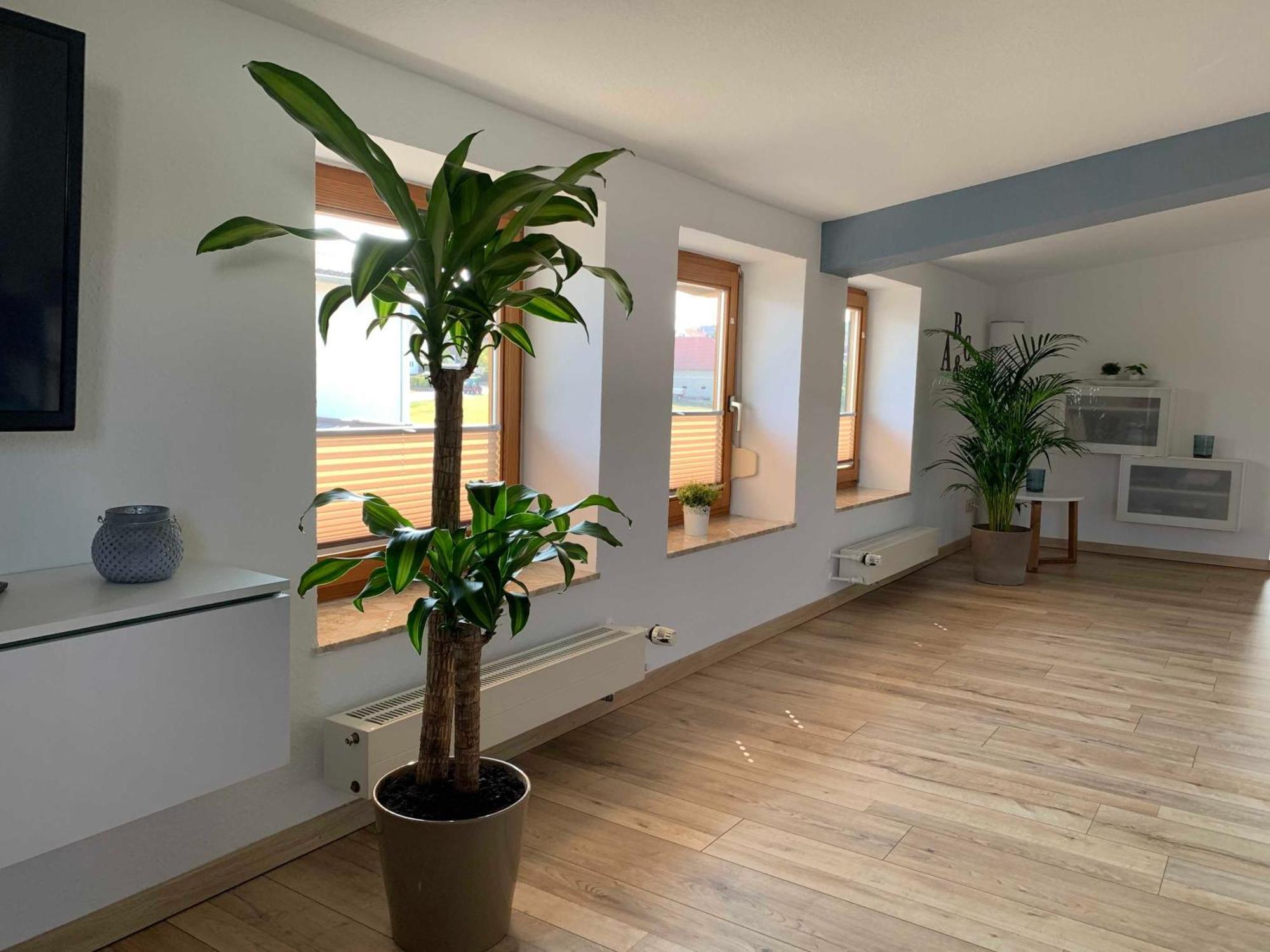 Ferienwohnung In Den Wiesen Albertshausen Exterior foto